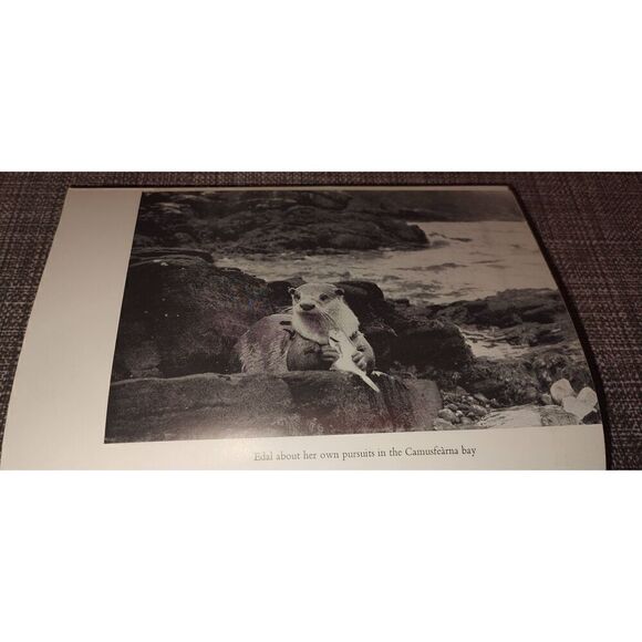 Ring of Bright Water by Gavin Maxwell 1961 Hardcover Sixth Printing - Picture 6 of 15